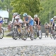 granfondo degli squali